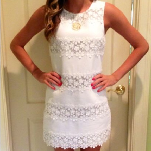 White Lace Stripe Panel Dress JCrew Factory - Picture 8 of 8